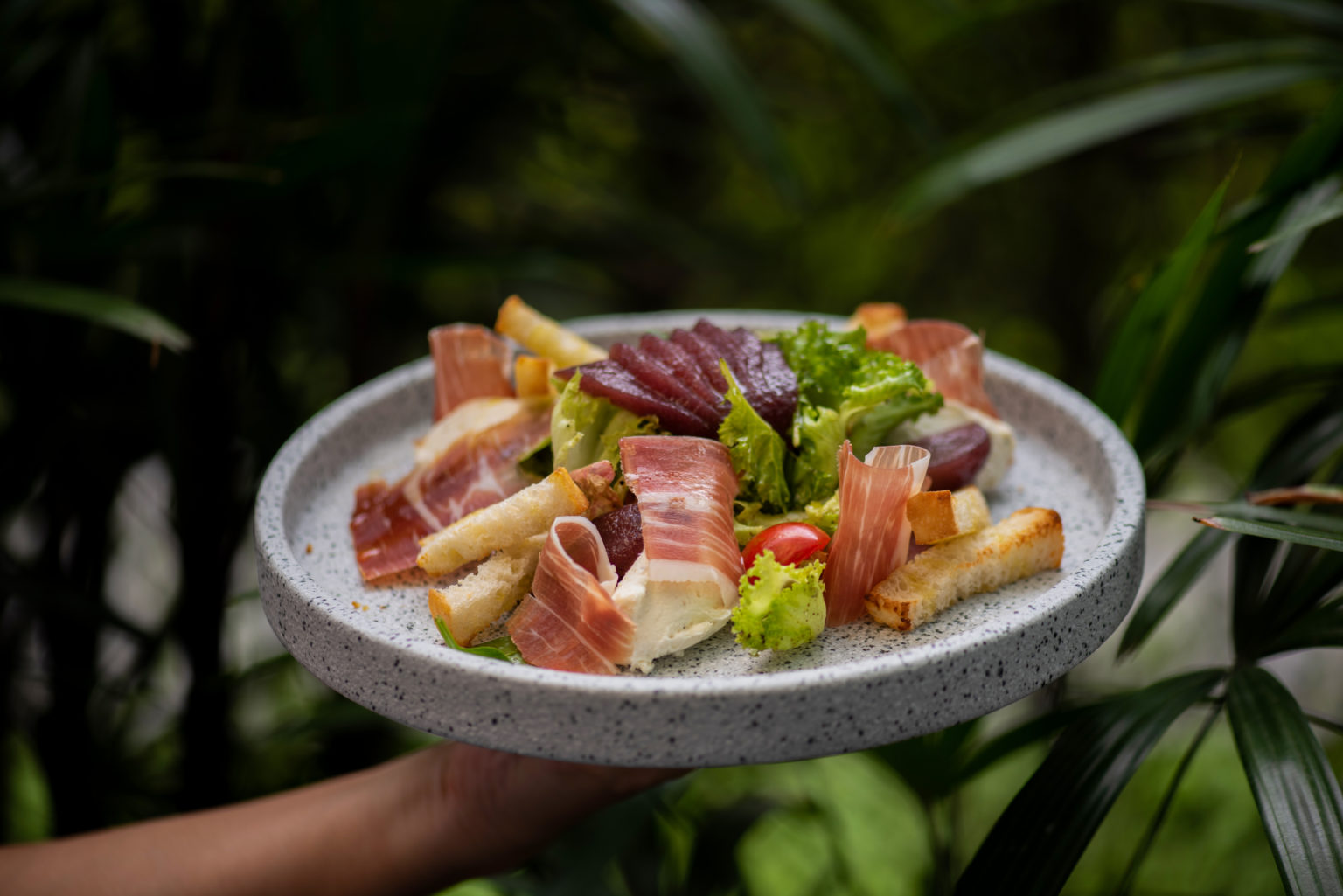Tuscany Ham with ricotta cheese and cooked pear salad (10)