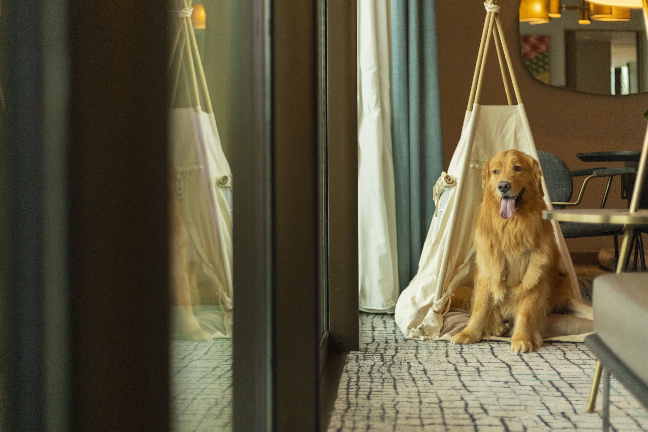 pet-friendly hotels in Bangkok