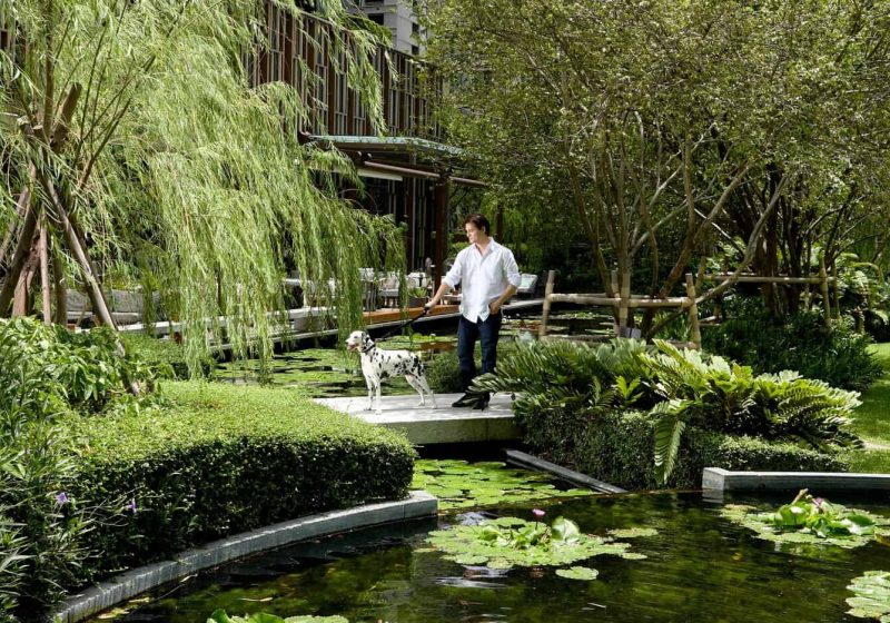 An owner and his dog inside the lush gardens of Kimpton Maa-Lai Bangkok